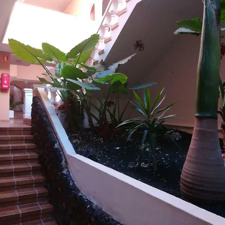 Amazing Flat In Costa Adeje 公寓 *